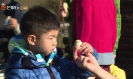 沙溢最新爆料视频大全,揭秘娱乐圈幕后故事